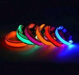 Tamsoje šviečiantis antkaklis šunims Tamsoje šviečiantis antkaklis šunims